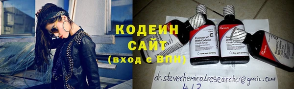 гашик Ельня