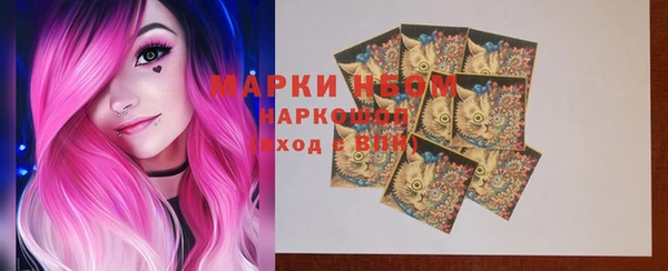 гашик Ельня