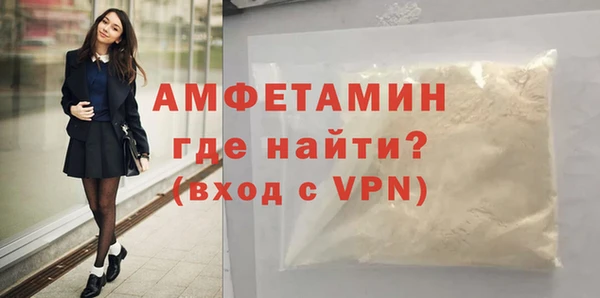 гашик Ельня