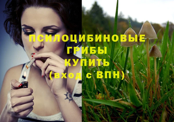 наркотики Елизово