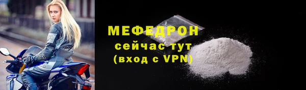 гашик Ельня