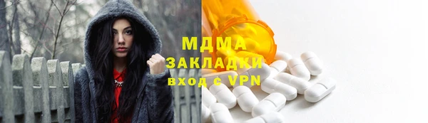 гашик Ельня