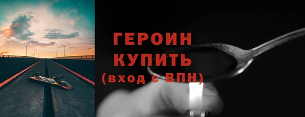 гашик Ельня