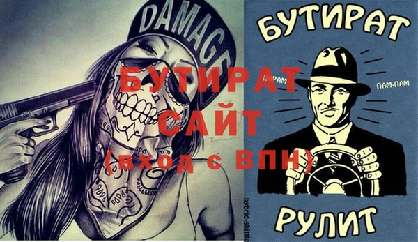 гашик Ельня