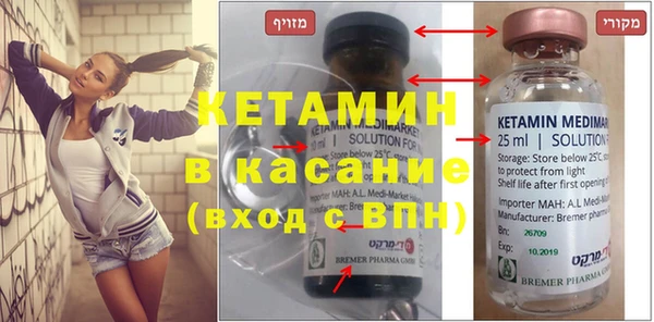 гашик Ельня
