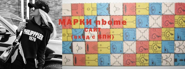 гашик Ельня