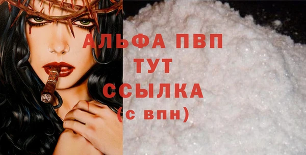 гашик Ельня
