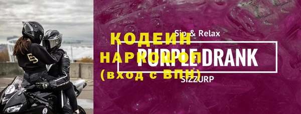 гашик Ельня